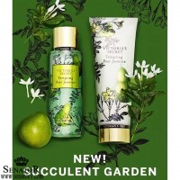 بادی اسپلش تمپتینگ پیر جاسمین ویکتوریا سکرت اورجینالVictoria secret New Limited Edition Succulent Garden TEMPTING PEAR JASMINE