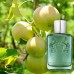عطر ادکلن مارلی گرینلی(سبز) perfumes de marly greenley